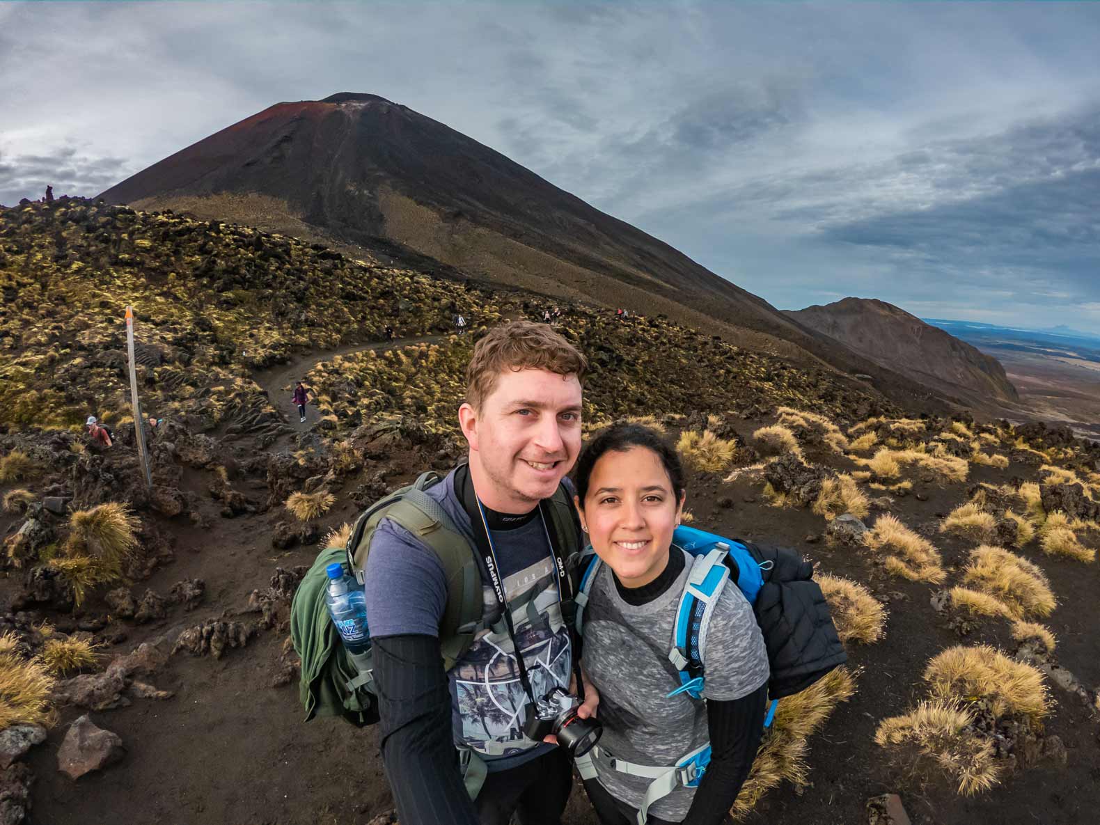 6 Amazing New Zealand North Island Hikes - Bus stops & Flip-flops