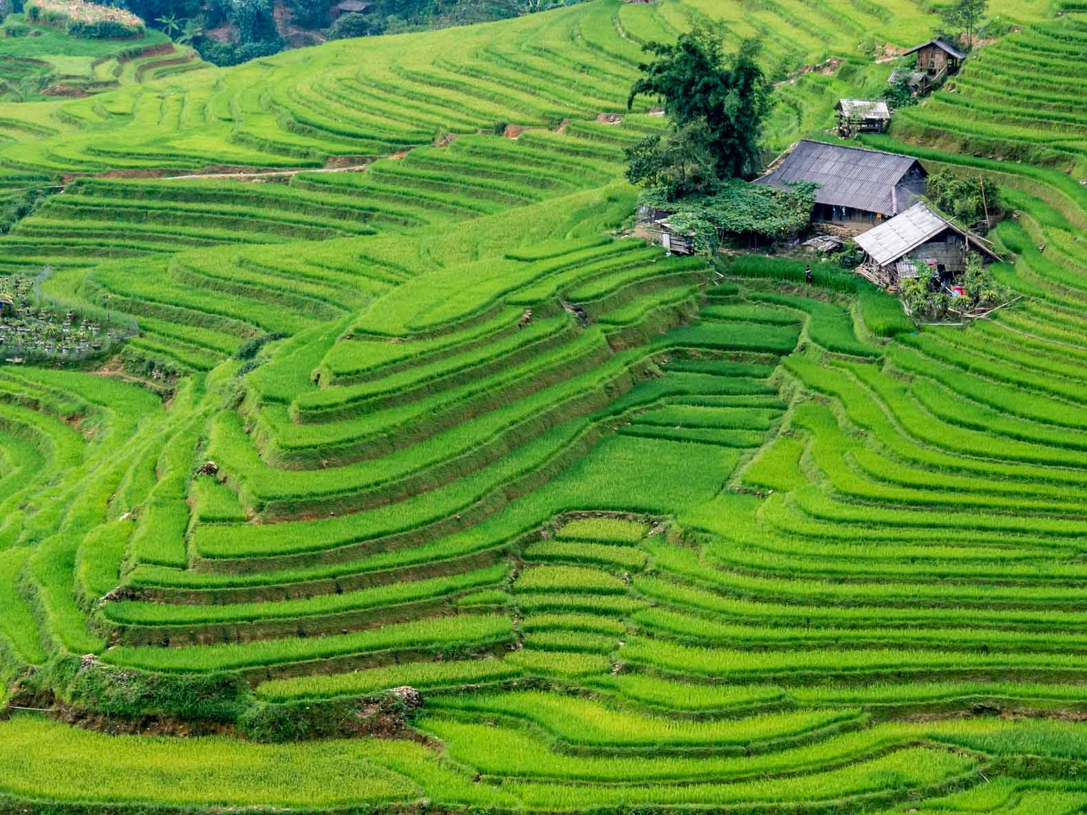 Our 2-day Off the Beaten Track Trekking in Sapa - Bus stops & Flip-flops